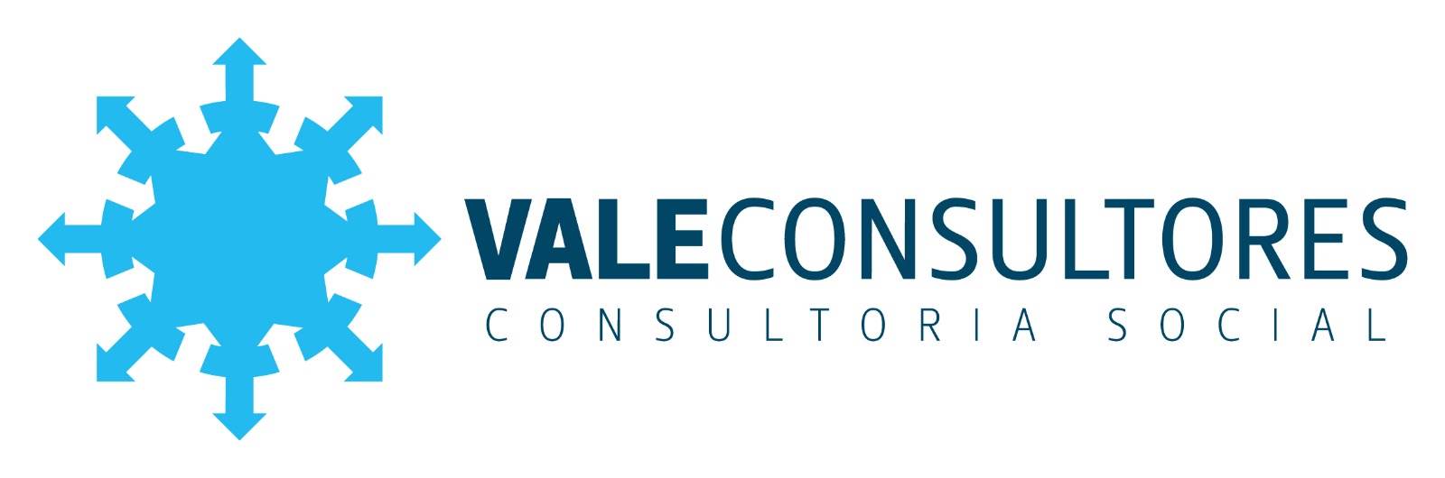 Entidades Signatárias Vale Consultores logo